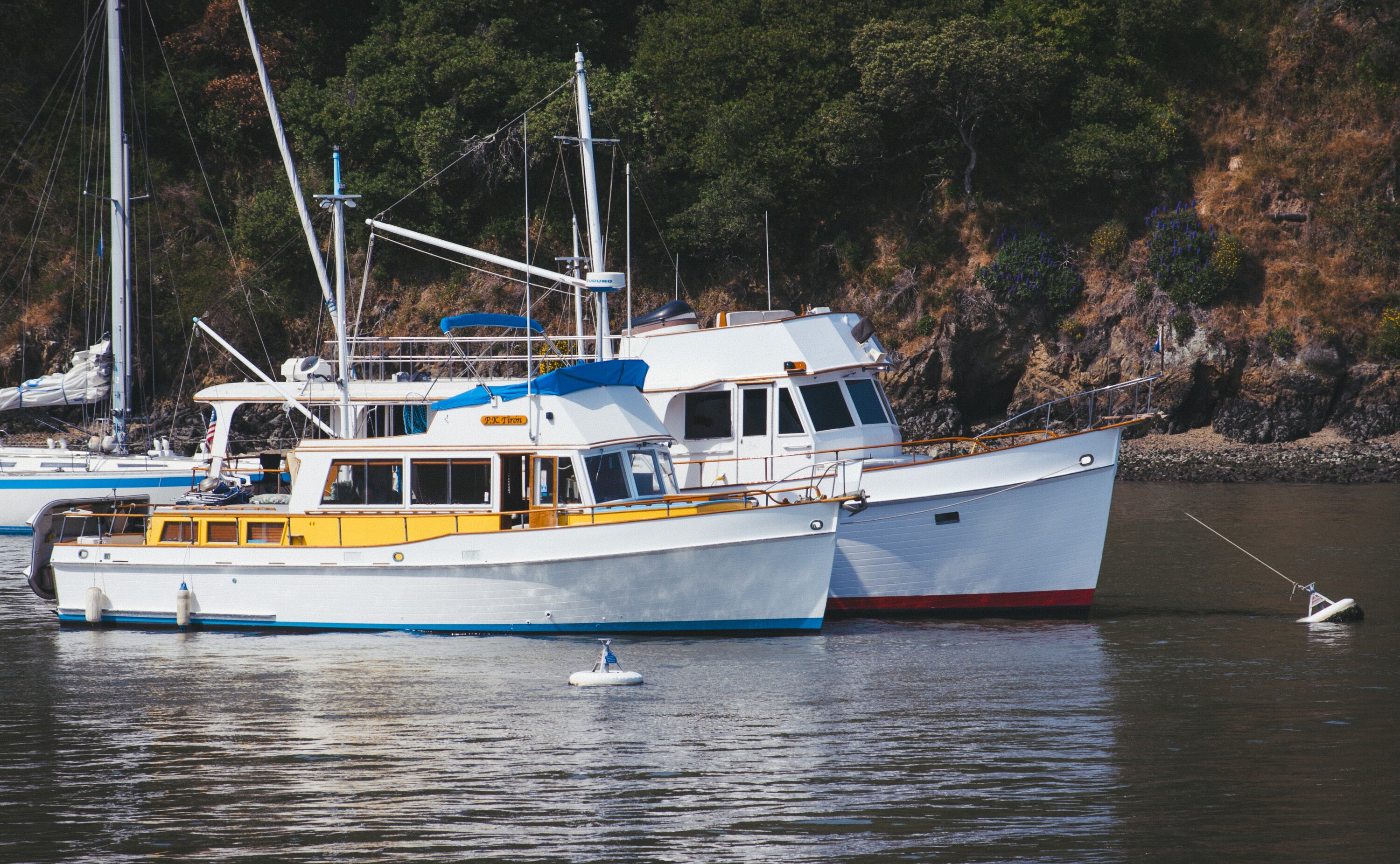Boats Docked Near Angel Island